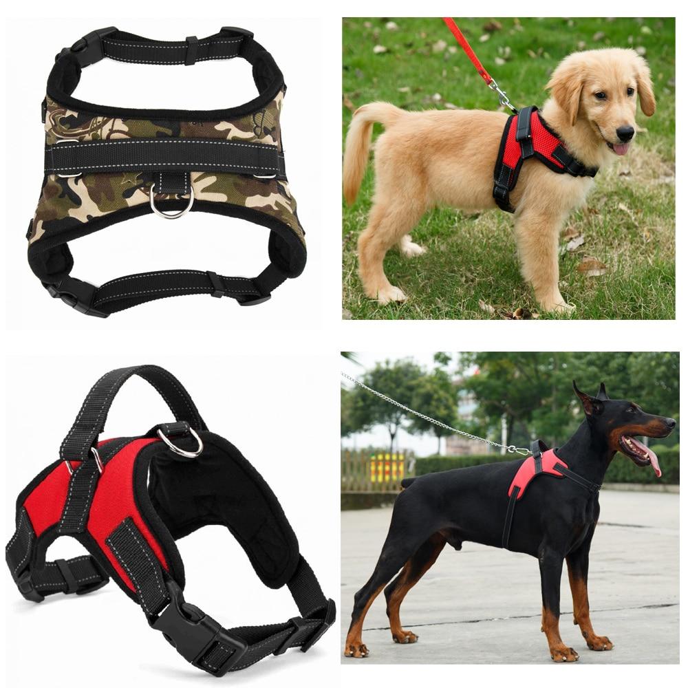 Dog Harness