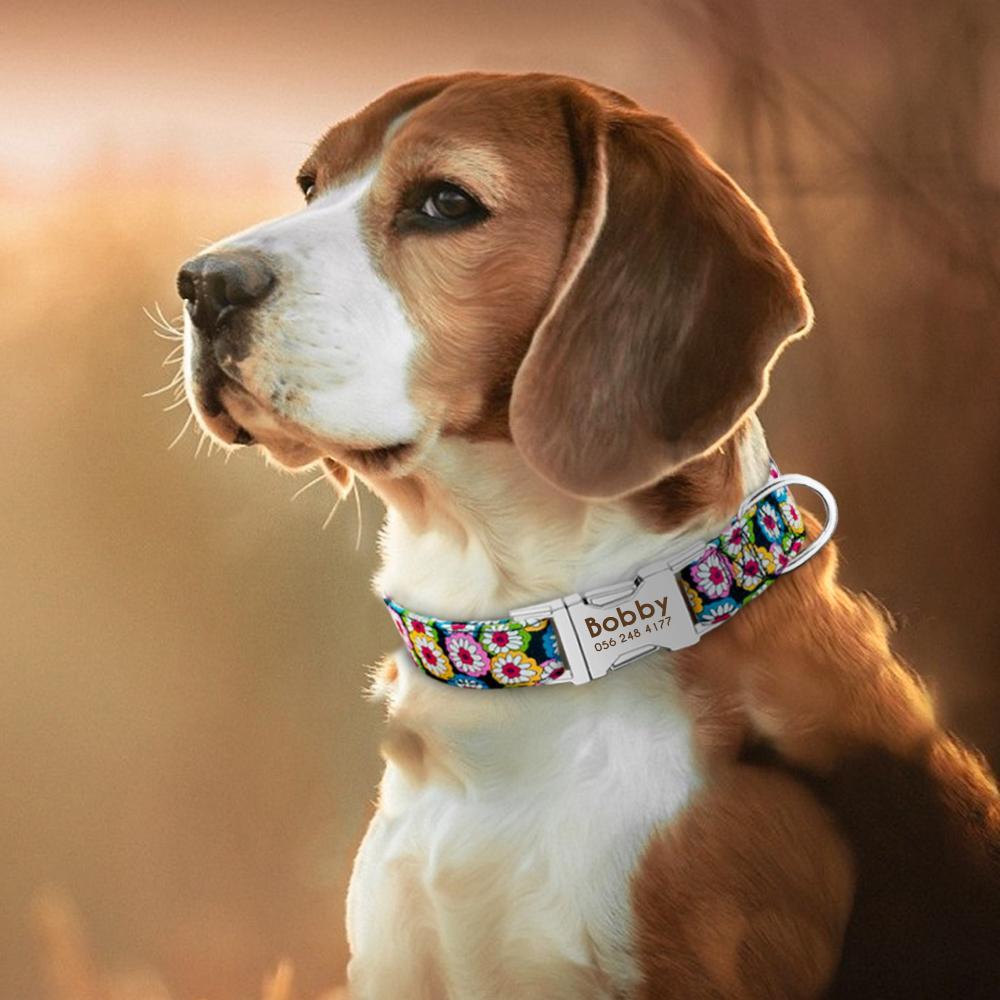 Personalized Dog Collar