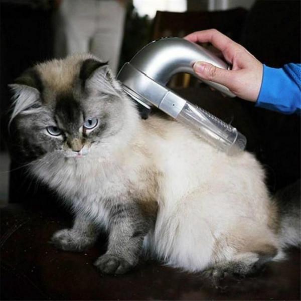 Pet Vacuum