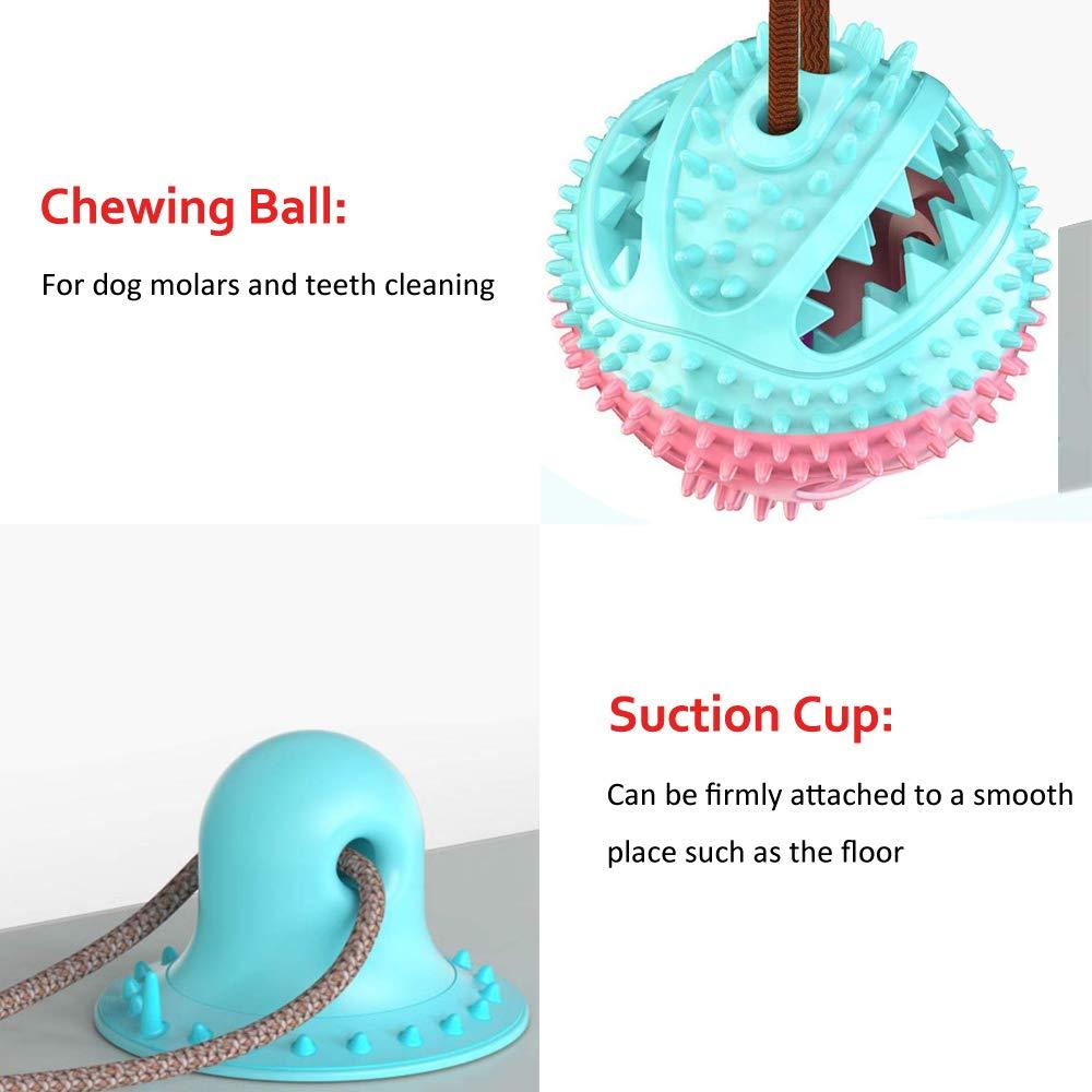 Toy Suction Cup Teeth Cleaner