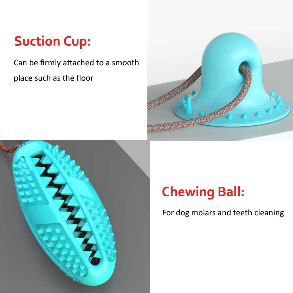 Toy Suction Cup Teeth Cleaner